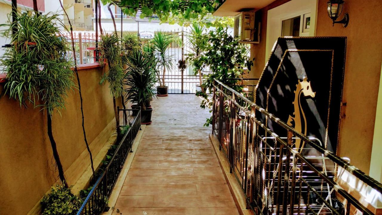 Dracena Guesthouse Ravda Exterior photo