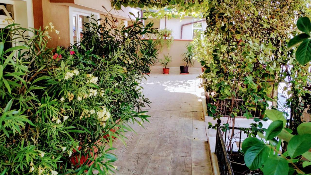 Dracena Guesthouse Ravda Exterior photo