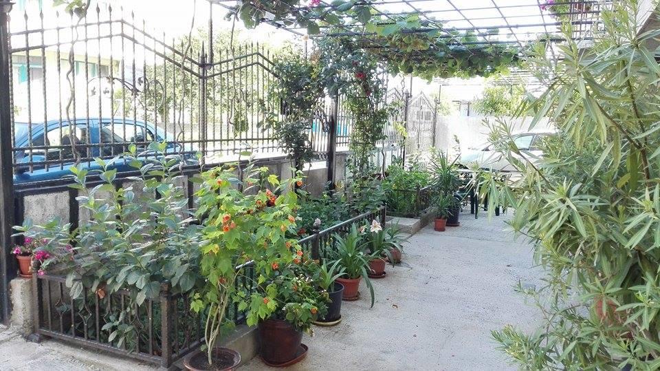 Dracena Guesthouse Ravda Exterior photo