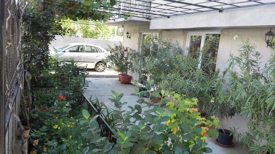 Dracena Guesthouse Ravda Exterior photo